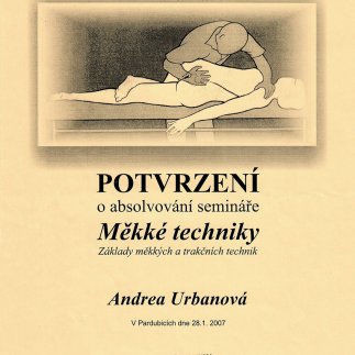 Seminář: Měkké techniky